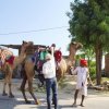 Urlaub in Indien 2016